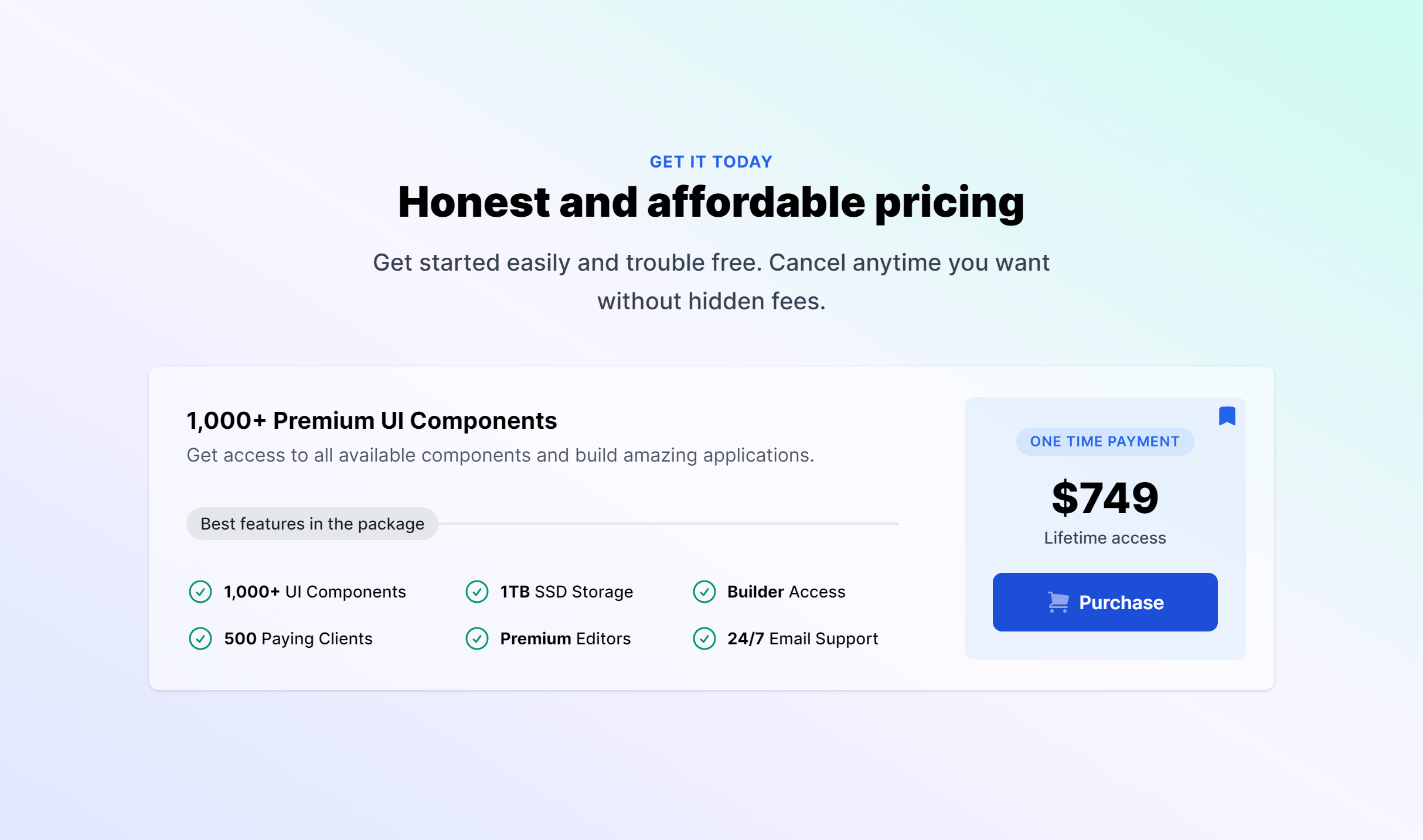Screenshot preview of Single Payment Option